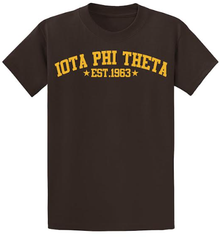 Iota Phi Theta since 1963 T-Shirt